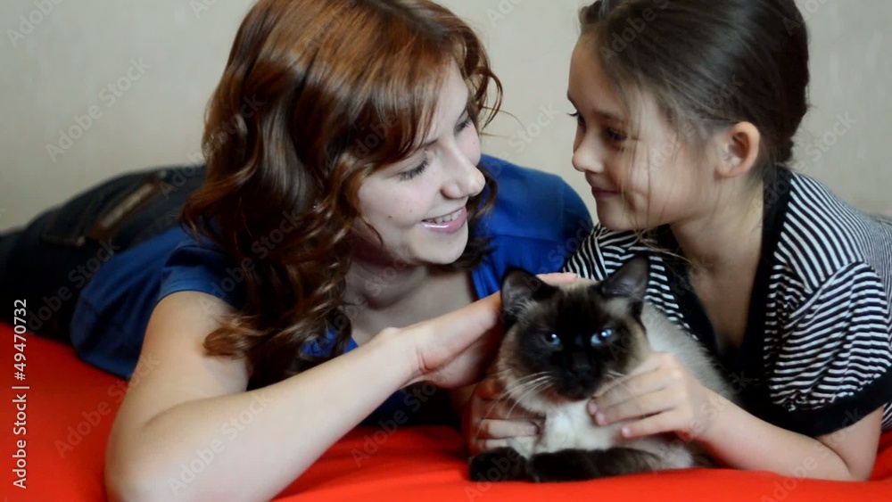 girls stroking cat and whisper something to each other's ear girls stroking cat and whisper something to each other's ear