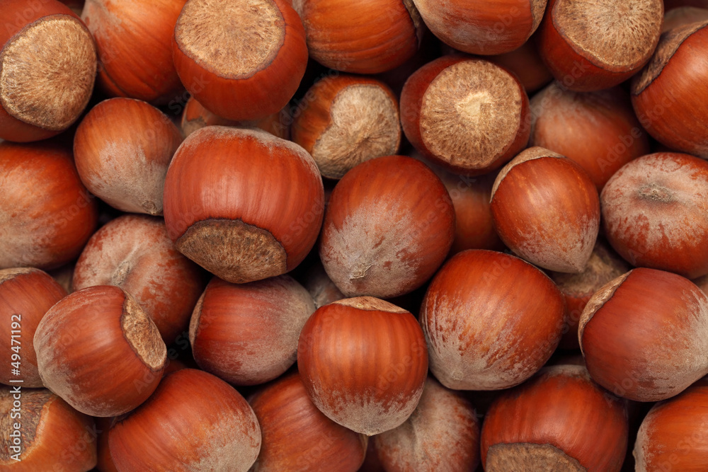 Hazelnuts. Background