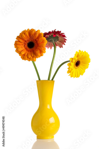 Flower and vase. © gitusik