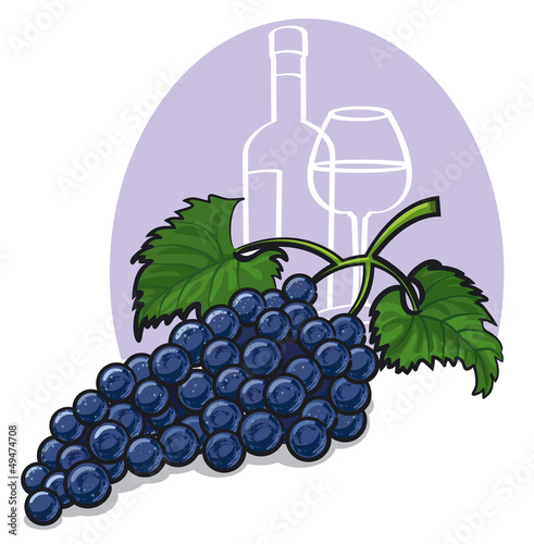 Ripe dark grapes