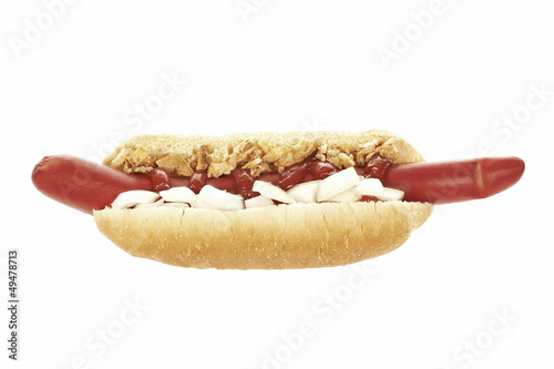 Hotdog on white background photo