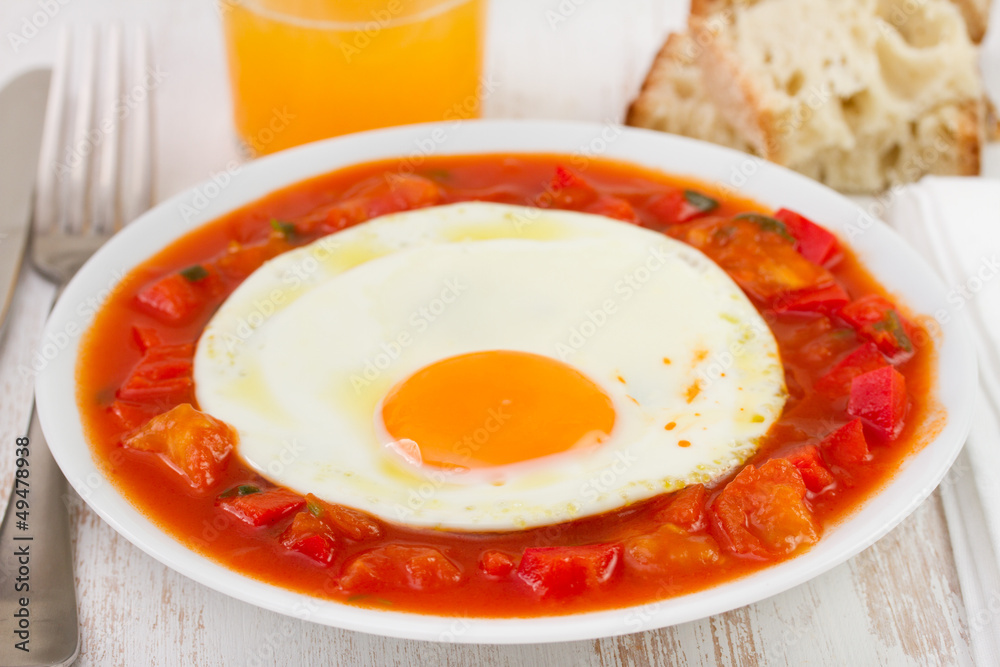 fried egg with tomato and pepper on the plate fried egg with tomato and pepper on the plate