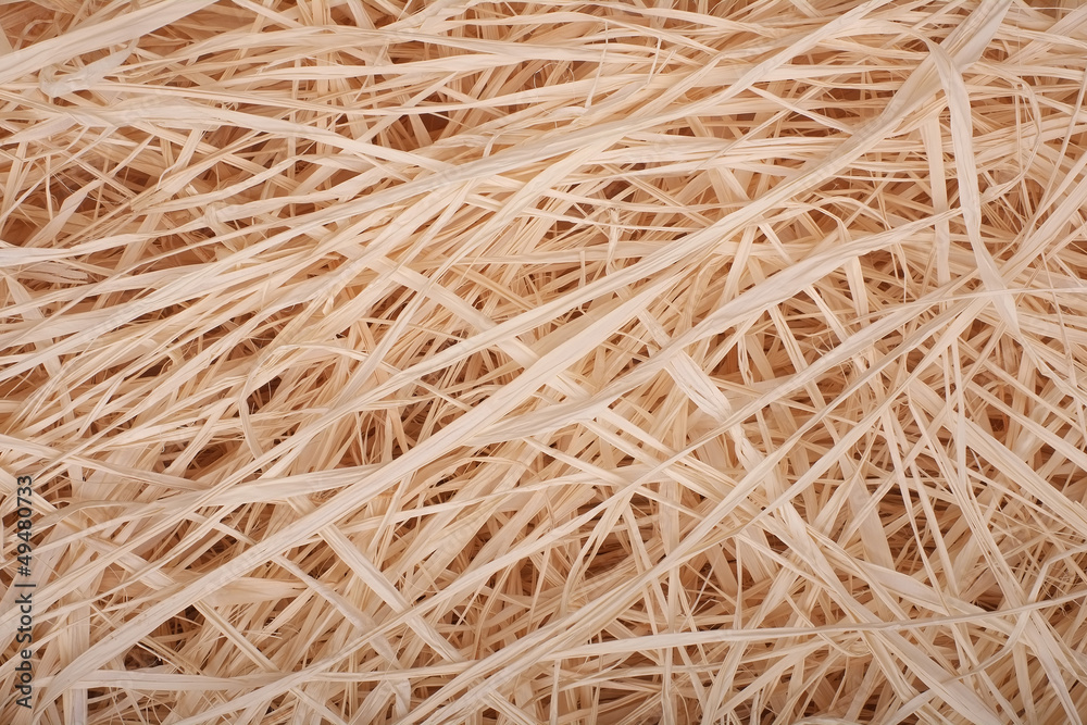 Obraz premium Raffia texture