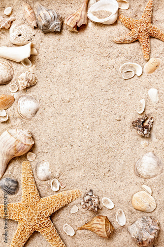 Seashell and starfish frame in the sand