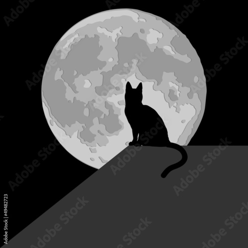 Cat in the moonlight