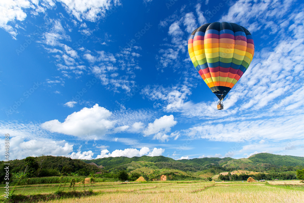 Hot air balloon over the field with blue sky