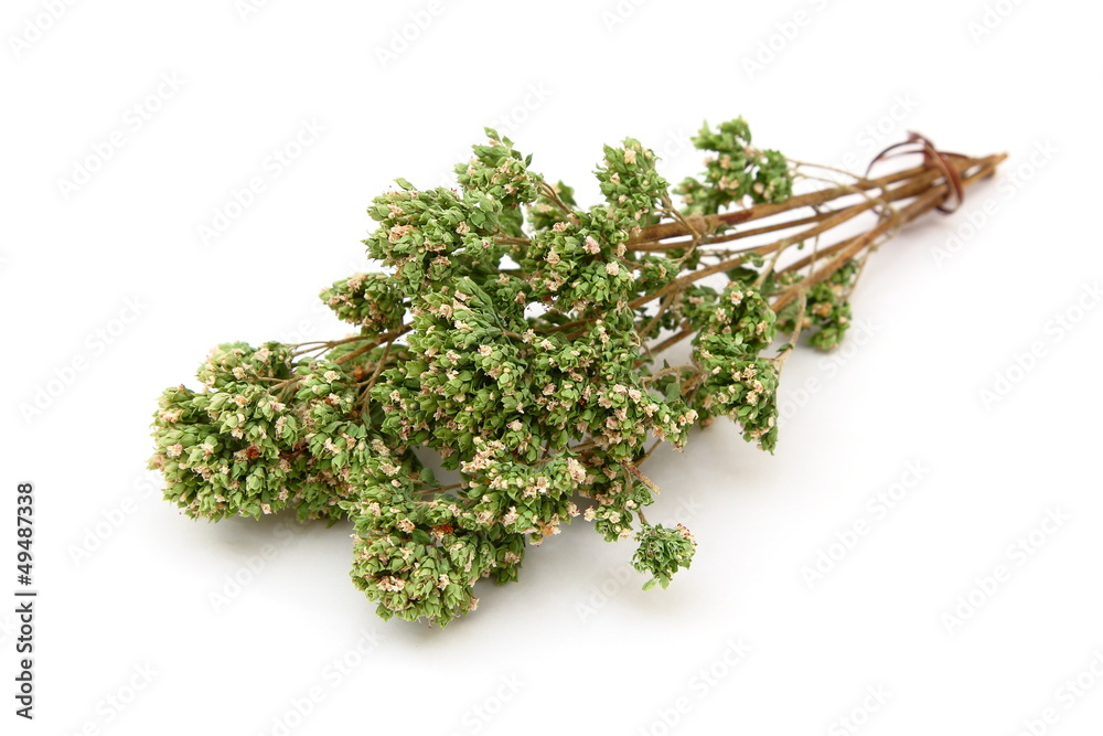 Origano secco - Dried oregano Stock Photo | Adobe Stock