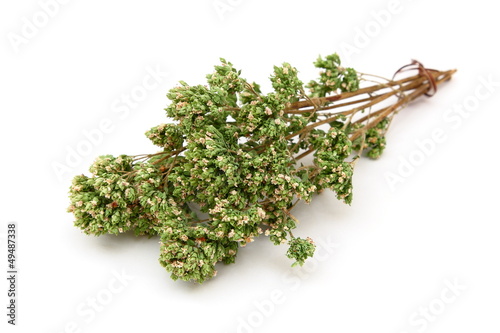 Origano secco - Dried oregano