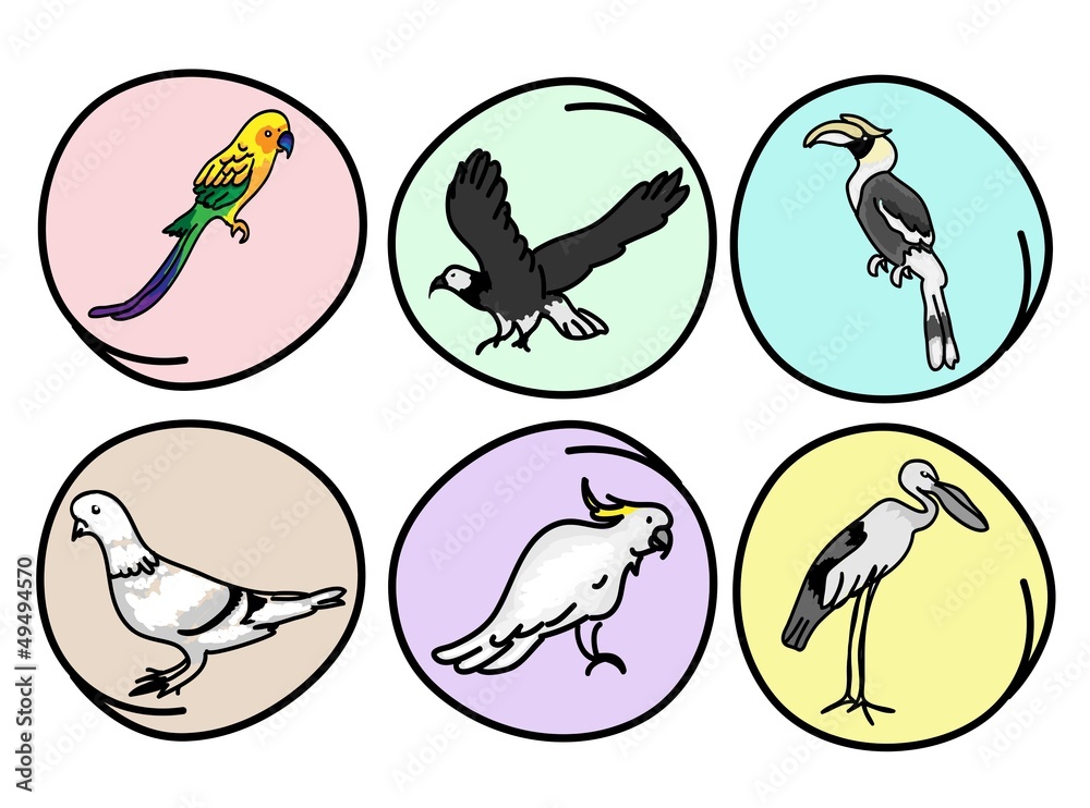 An Illustration Set of Beautiful Wild Birds An Illustration Set of Beautiful Wild Birds