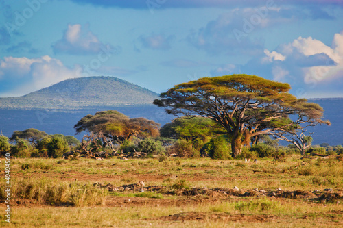 Savanna landscape in Africa, Amboseli, Kenya photo