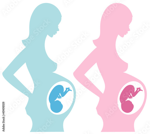 Set of two pregnant women silhouetter with baby embryo #49498109