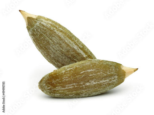 Wallpaper Mural Pumpkin seeds Torontodigital.ca