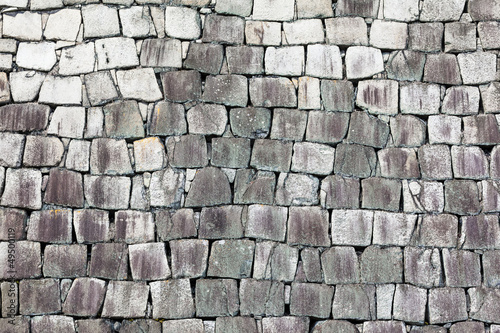 Castle Stone Wall Detail