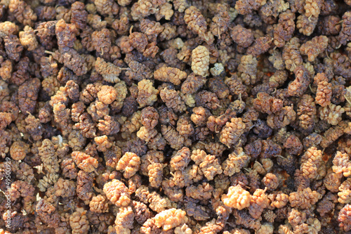 Dried Mulberry sold in the village in Xinjiang, China