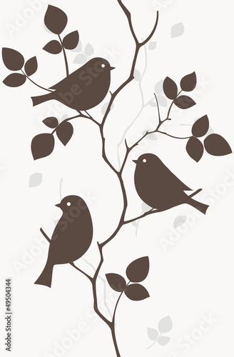 Birds on tree #49504344