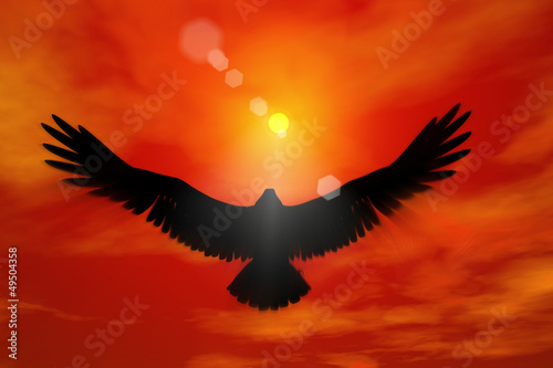 Eagle