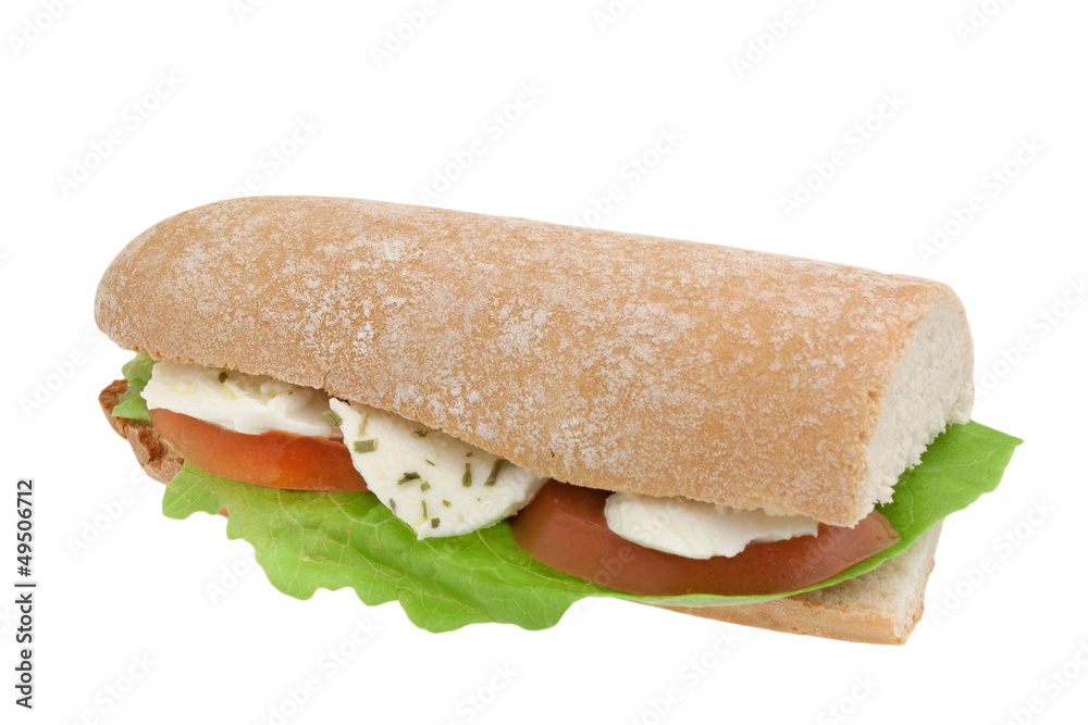 Panino Vegetariano