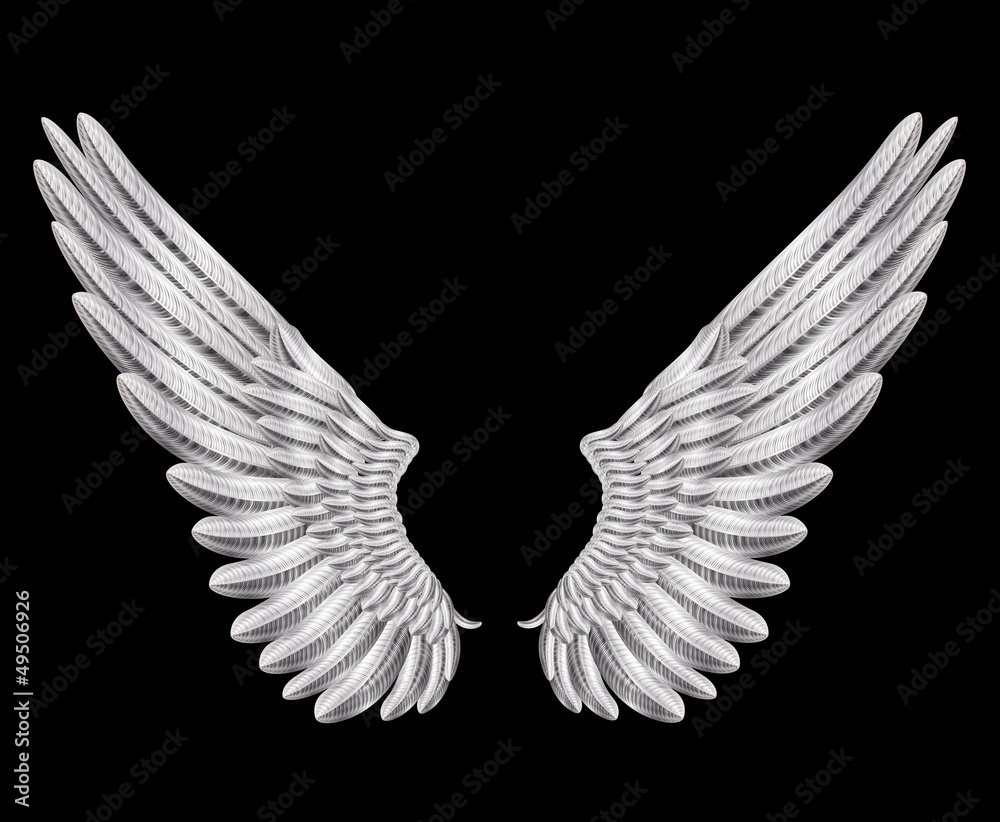silver wings Stock Vector | Adobe Stock