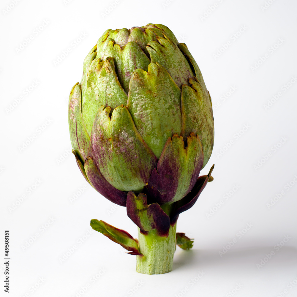 Obraz premium Antichoke