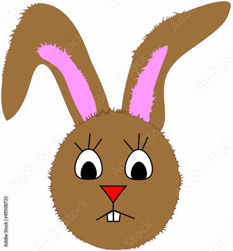 Hase