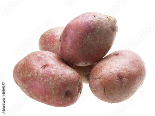 Red raw potato