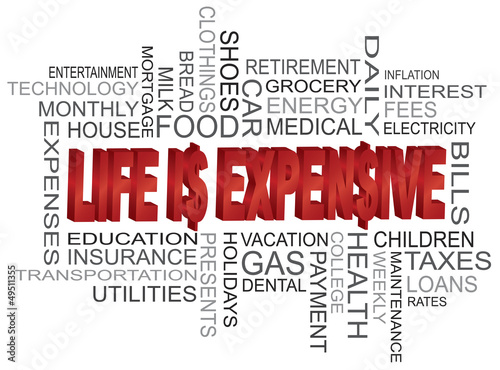 Life is Expensive Word Cloud
