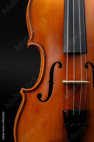 Violin front view cropped