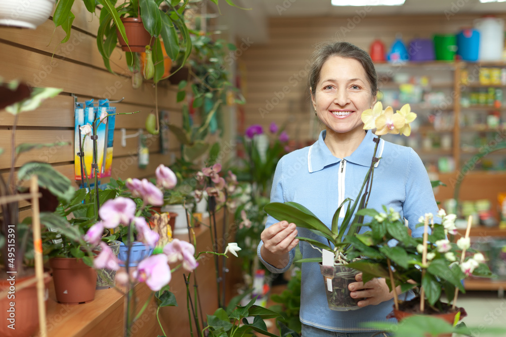 woman chooses Phalaenopsis at flower shop