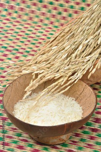 raw white jasmine rice with paddy rice