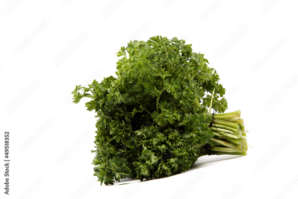 Bunch of fresh parsley on a white background. Bunch of fresh parsley on a white background.
