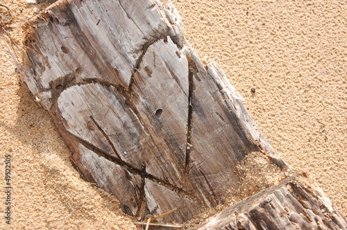 cuore di legno photo