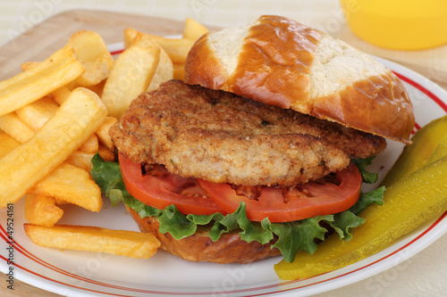 Slika na platnu Pork Tenderloin Sandwich and Fries