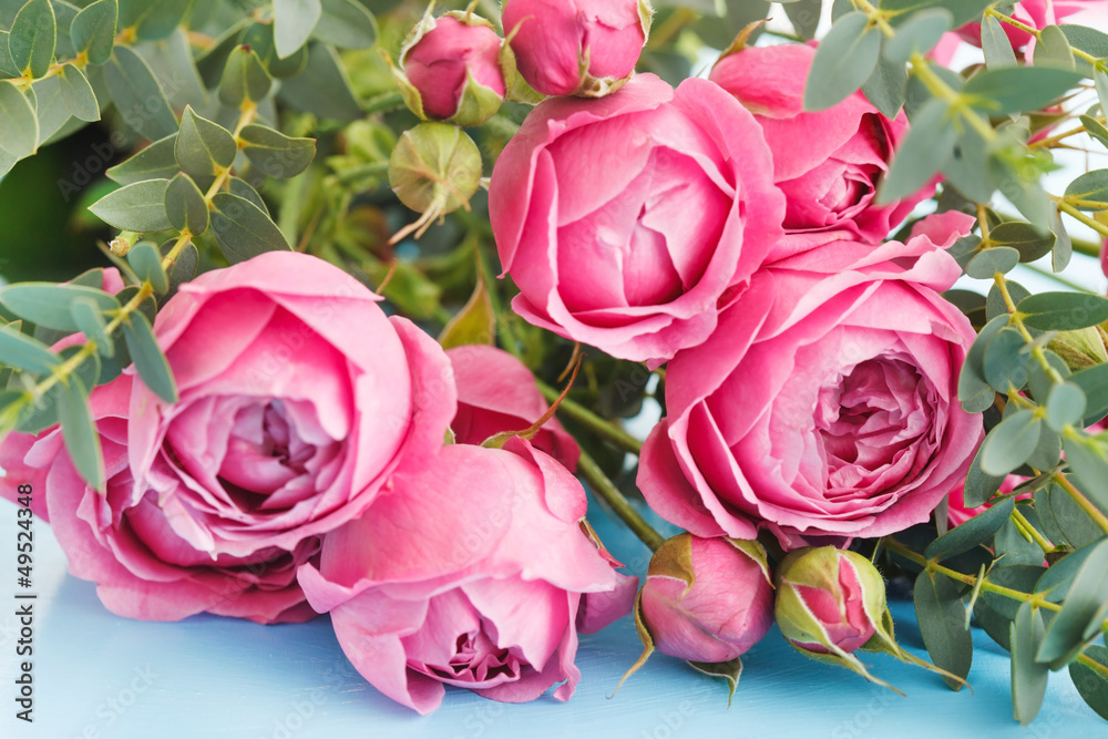 Naklejka premium pink roses