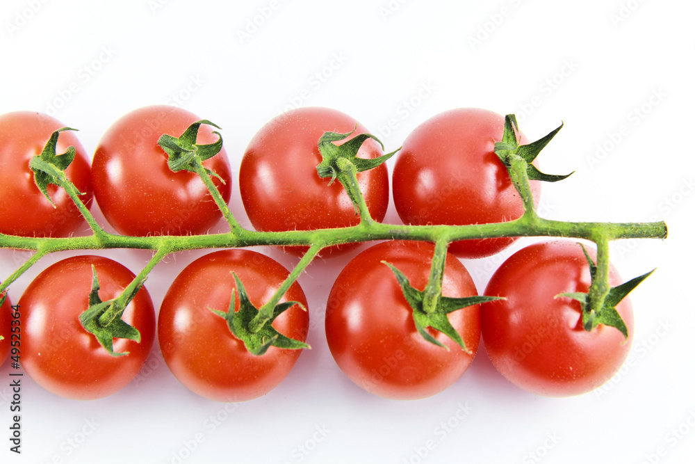 Close Up of cherry tomatoes on the vine Close Up of cherry tomatoes on the vine