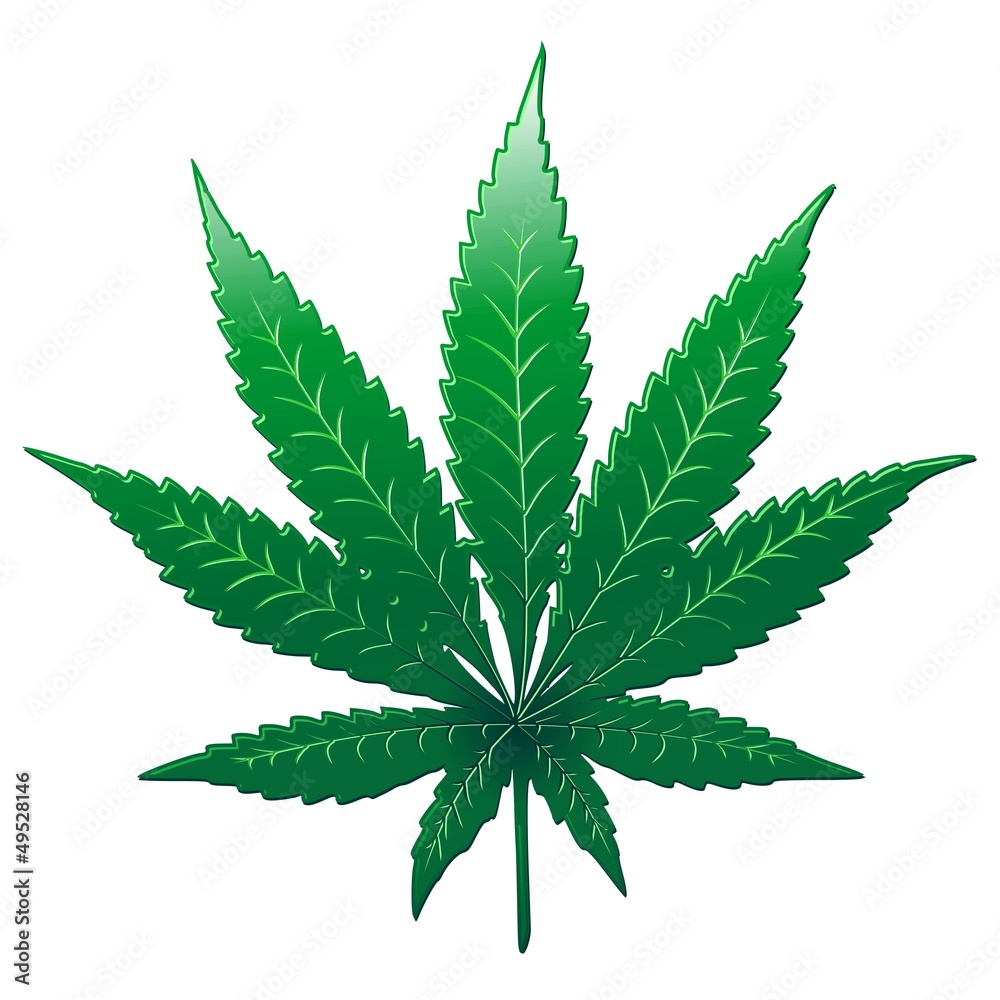 Cannabis Marijuana Marihuana Leaf - Foglia - Vector Stock Vector