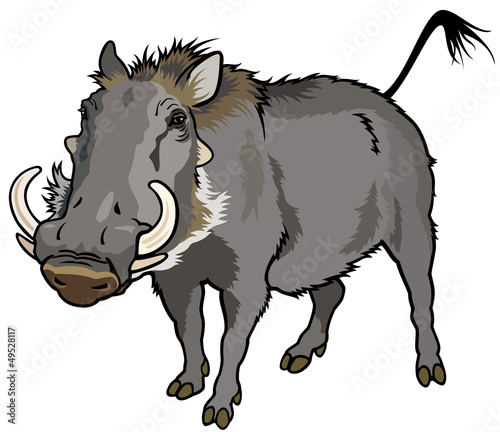 Tableau sur toile warthog