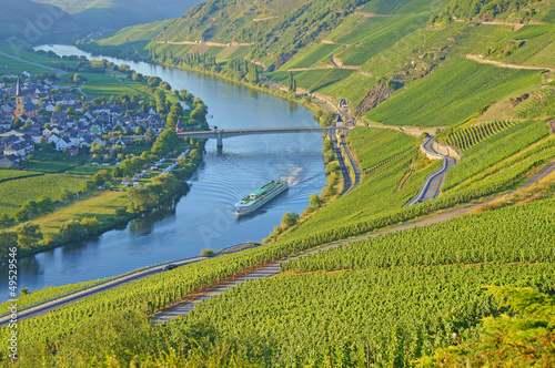 Flusskreuzfahrtschiff auf der Mosel bei Trittenheim photo