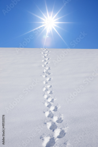 Der Sonne Entgegen