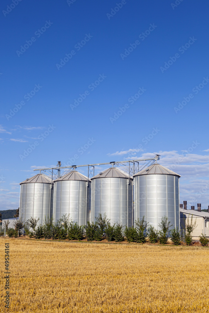 four silver silos in the field after the harvest four silver silos in the field after the harvest