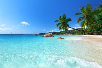 Acrylglasbilder Tropischer Strand Anse Lazio Bucht auf Praslin Seychellen  © Iakov Kalinin