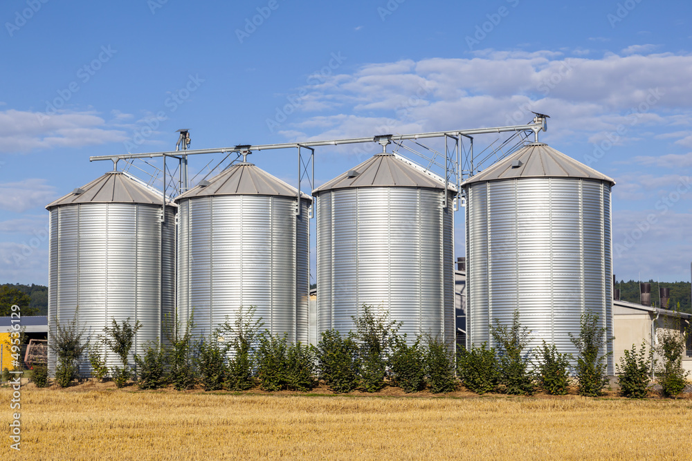 four silver silos in the field after the harvest four silver silos in the field after the harvest