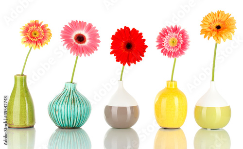 Fototapeta Naklejka Na Ścianę i Meble -  Beautiful Gerber flowers isolated on white