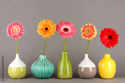 Fototapeta Naklejka Na Ścianę i Meble -  Beautiful Gerber flowers on grey background