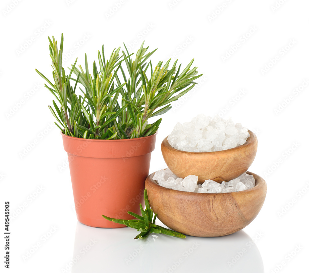 Salt in a wooden bowl and rosemary