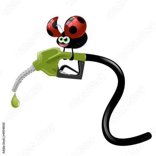 coccinella  carburante
