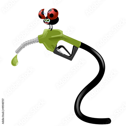 coccinella  carburante