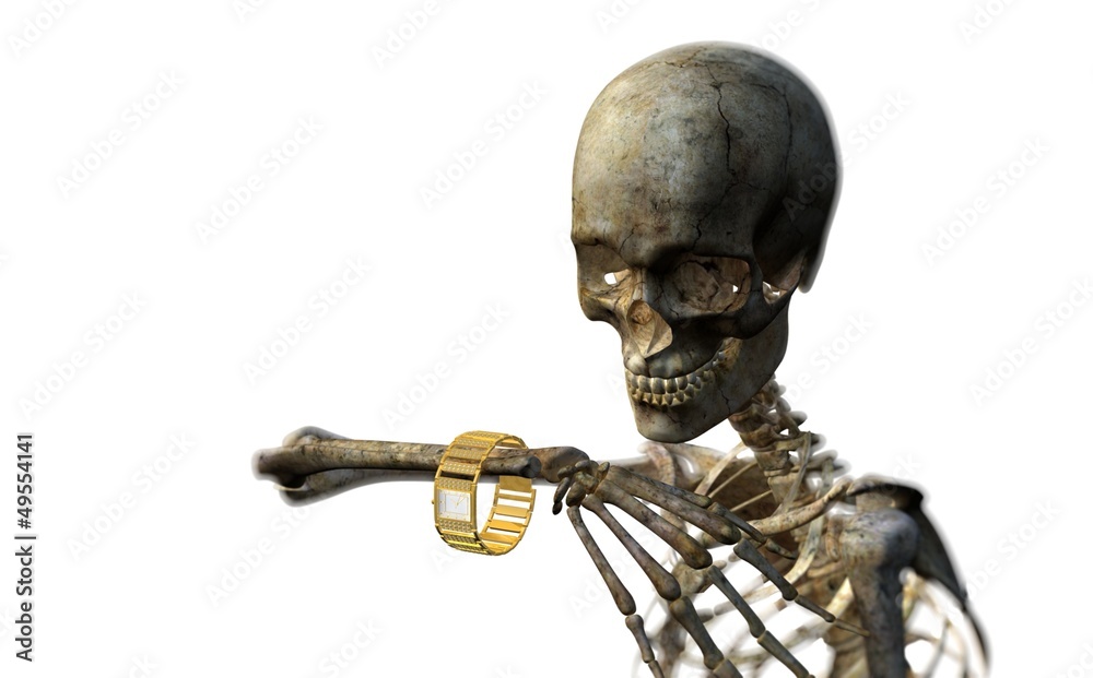 Naklejka premium skeleton