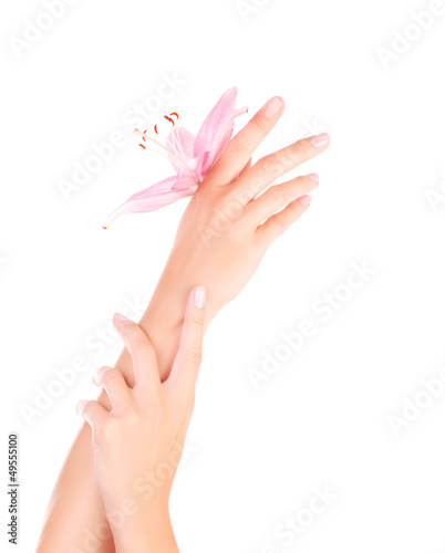 Female hands with pink lily