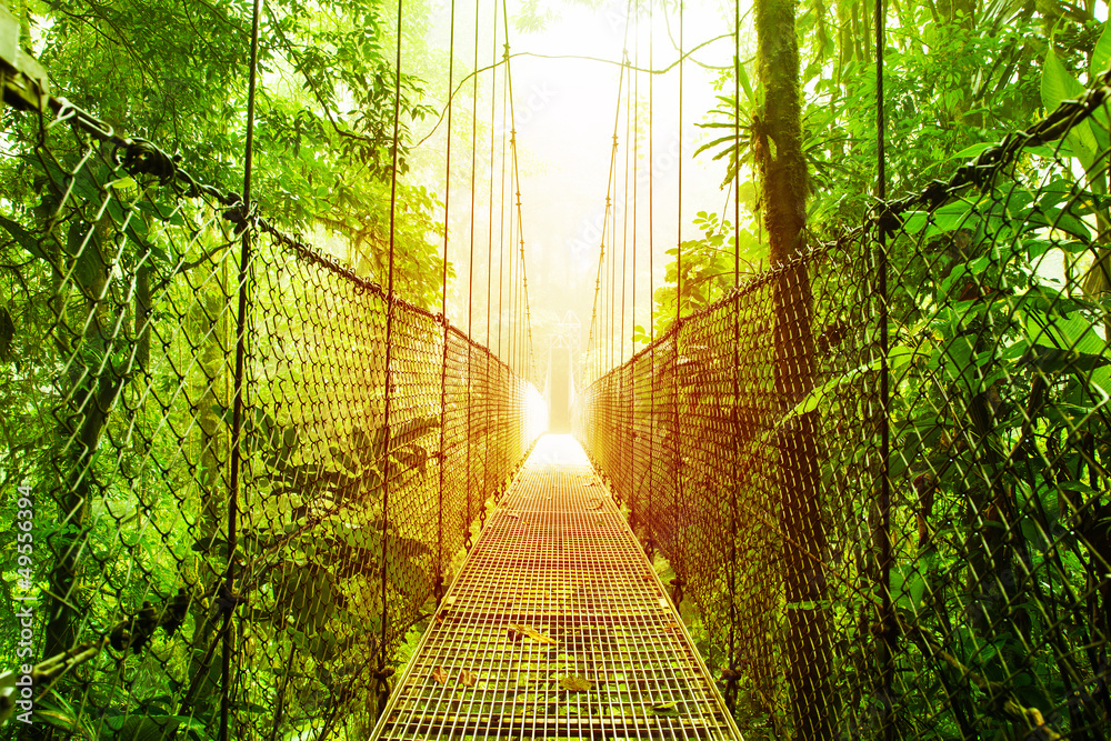 Fototapeta premium Park Wiszących Mostów Arenal w Kostaryce