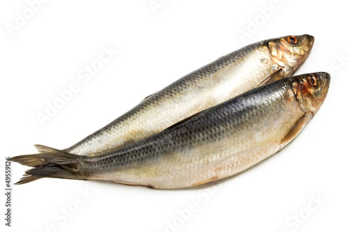 Salted herring  isolated on white